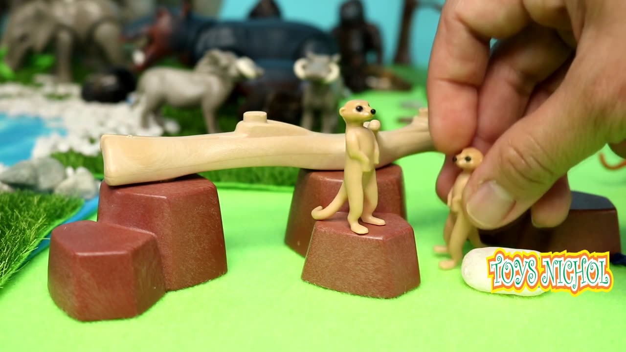 Two Monkeys Playing with Two Pandas and Hanging from Pine Tree