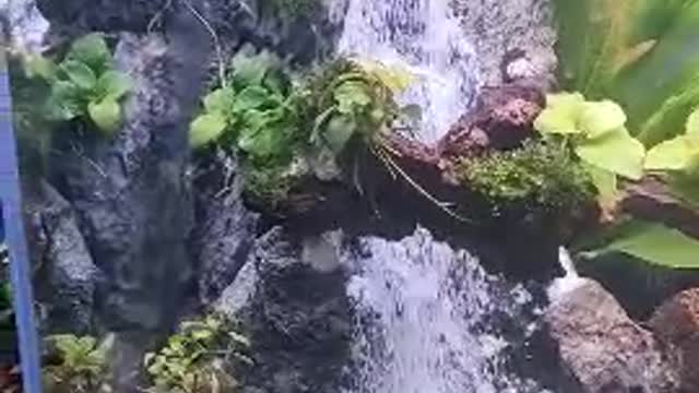 The scenery in the bathtub