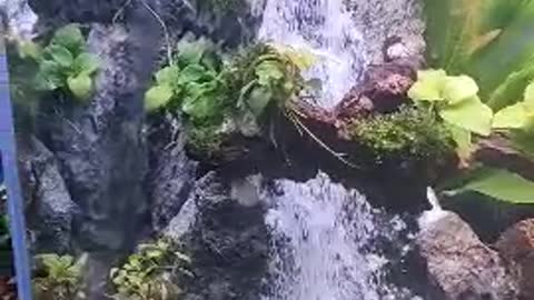 The scenery in the bathtub