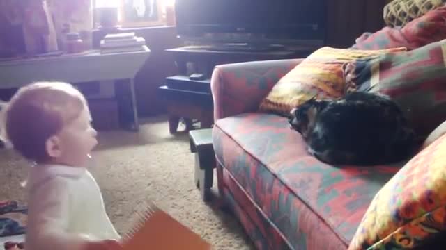 Baby and Cat Fun and Fails - Funny Baby Video