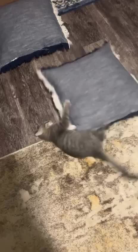 Someone got into something they shouldn’t have 🤣