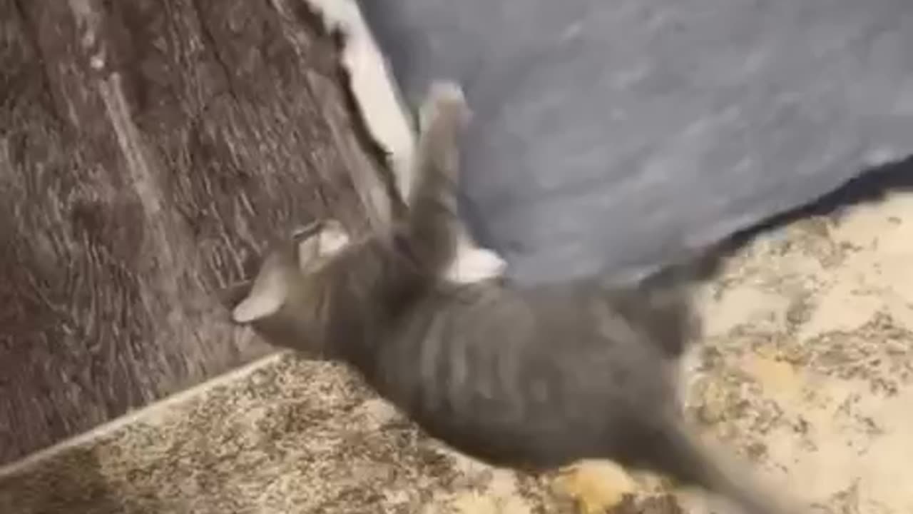 Someone got into something they shouldn’t have 🤣