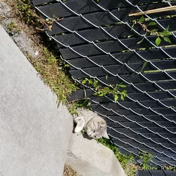 20240416 160531 Birthday Erupting to Squirm