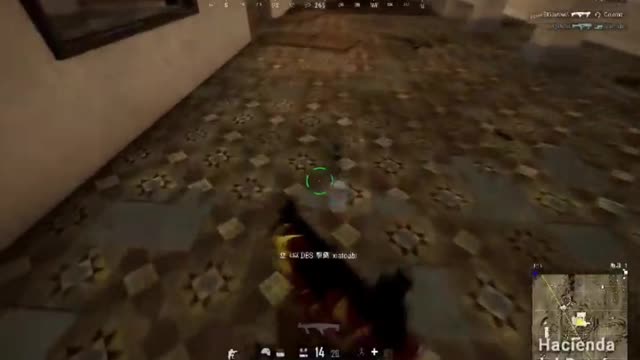 Close range Fight with DBS...