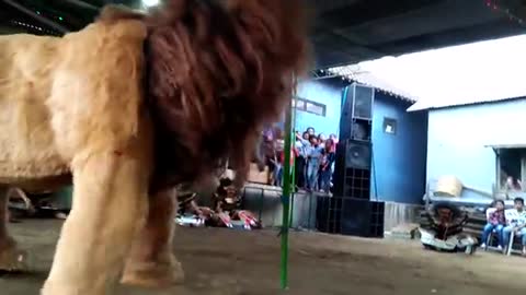 SINGA BARONG INDONESIAN MYSTERY