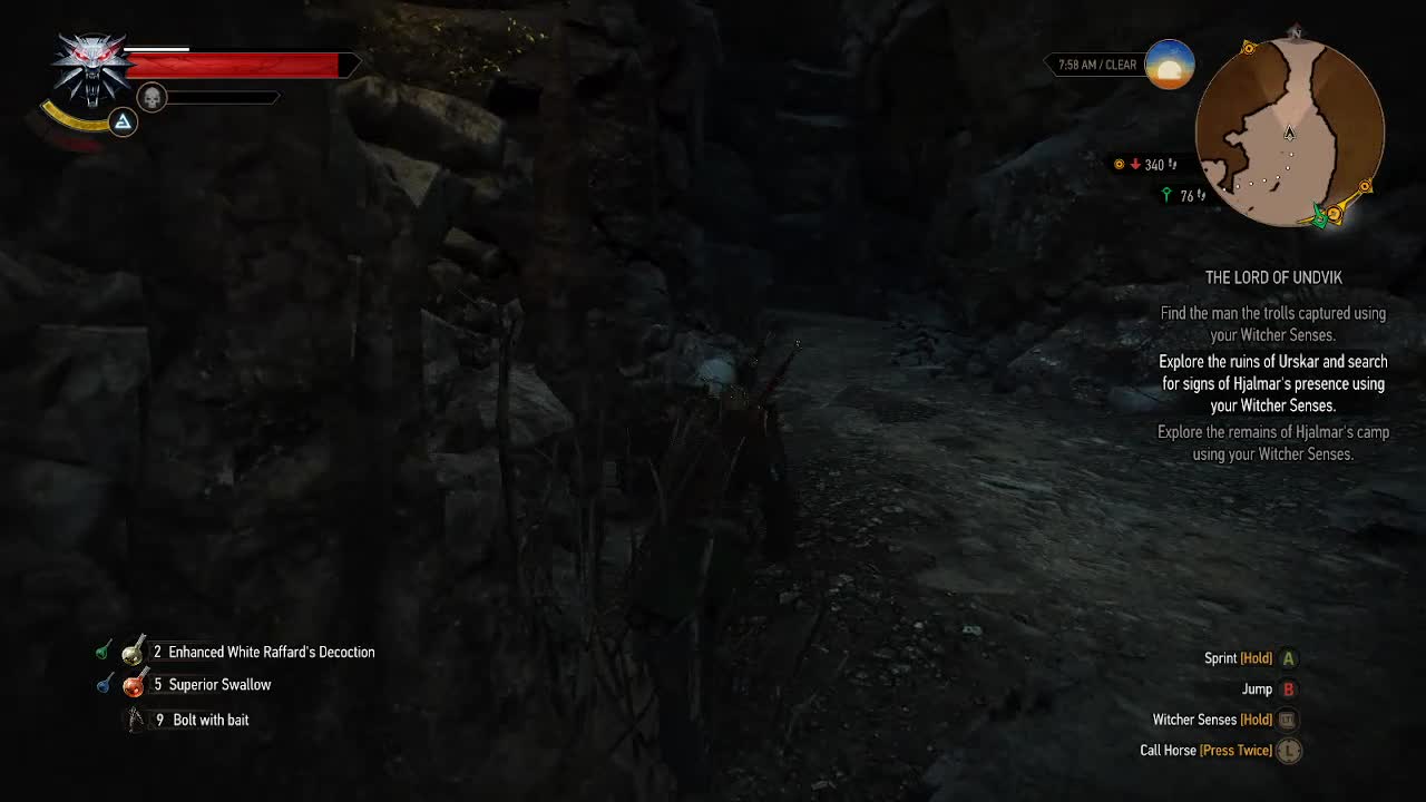 Two swords one Witcher 9