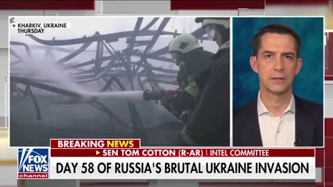 Tom Cotton: Joe Biden is confused and so is America