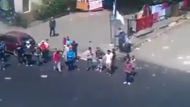 Watch What Happens After A Guy Throws Shit At Dogs 🟠⚪🟣The NPC Show