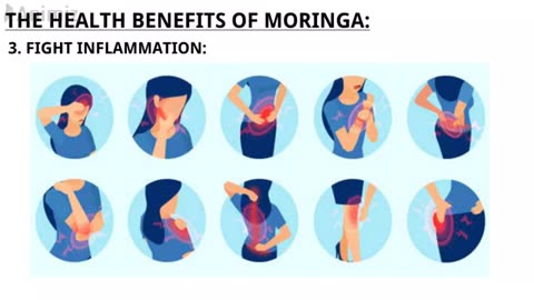 Health Benefits of Moringa