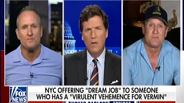 Tucker Carlson: NYC is looking for a rat czar.