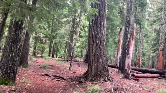 Circumnavigating Lower Twin Lake – Mount Hood National Forest – Oregon – 4K