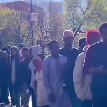 Trump Remix: Border Czar (Kamala Harris)