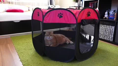 Play Tent