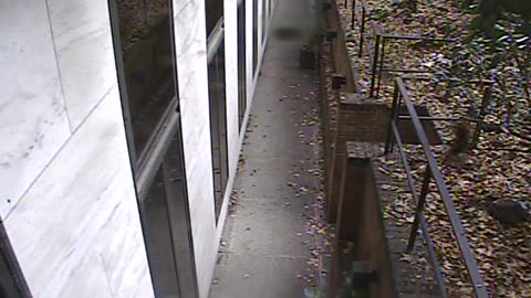 1457HSOB01GroundSoutheast_2021-01-06_11h15min56s947ms.mp4