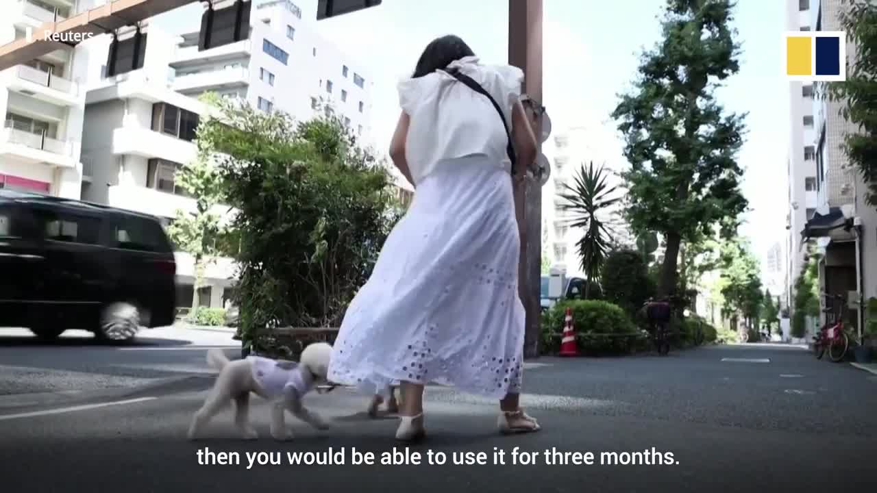 Japanese company creates wearable fan for pets to keep cool during those dog days of summer