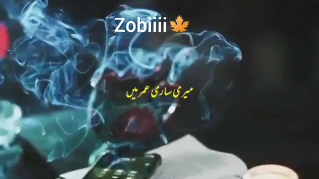 meri sari umer main aik ekami hai ton