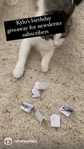 Birthday Giveaway Drawing