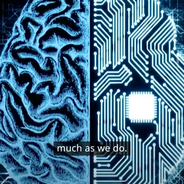 Computer chip with built-in human brain tissue gets military funding