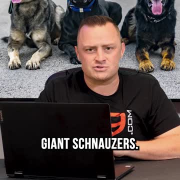 Top 3 Large Dog Breeds We DON’T Recommend