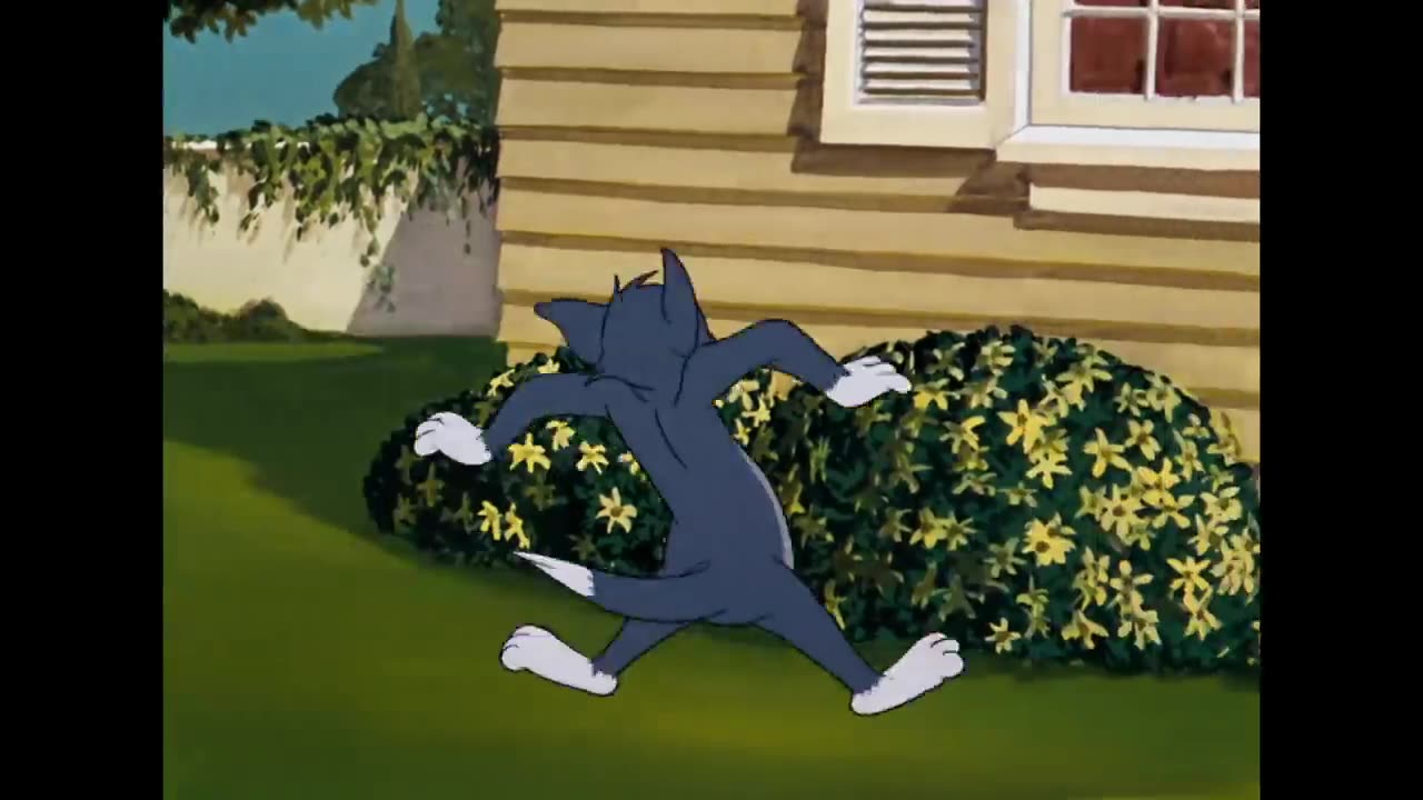 Tom & Jerry | Adorable Tyke! | Classic Cartoon Compilation