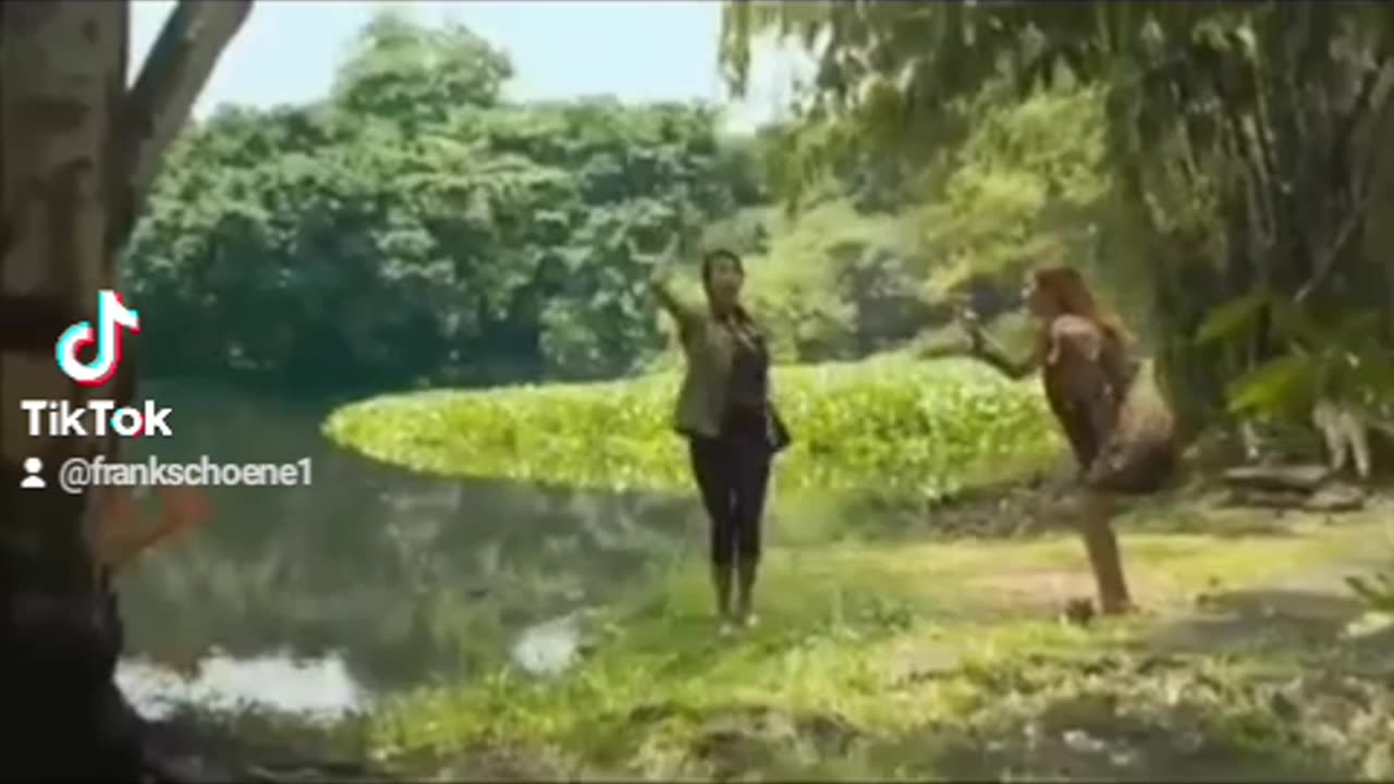 the handbag - Die Handtasche