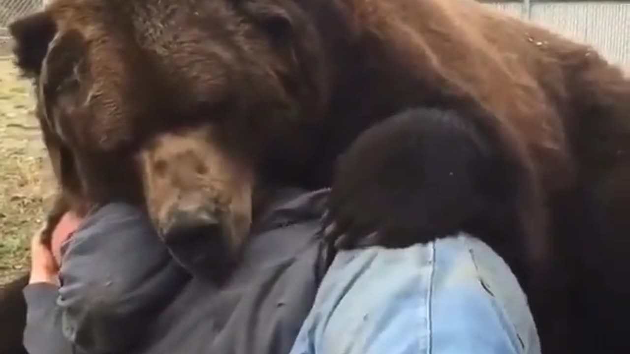 WHAT AN EXTRAORDINARY FRIENDSHIP WITH MAN AND BEAR 🐻
