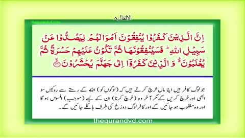 Para 9 - Juz 9 Quran HD Qal al mala Urdu Hindi Translation