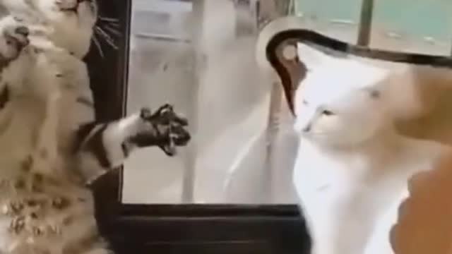 This is love❣️😍