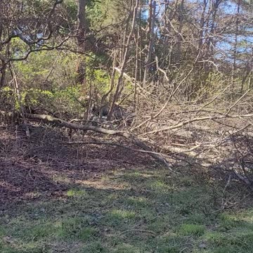 Indiana spring storms