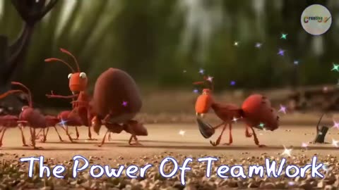 Teamwork and Leadership