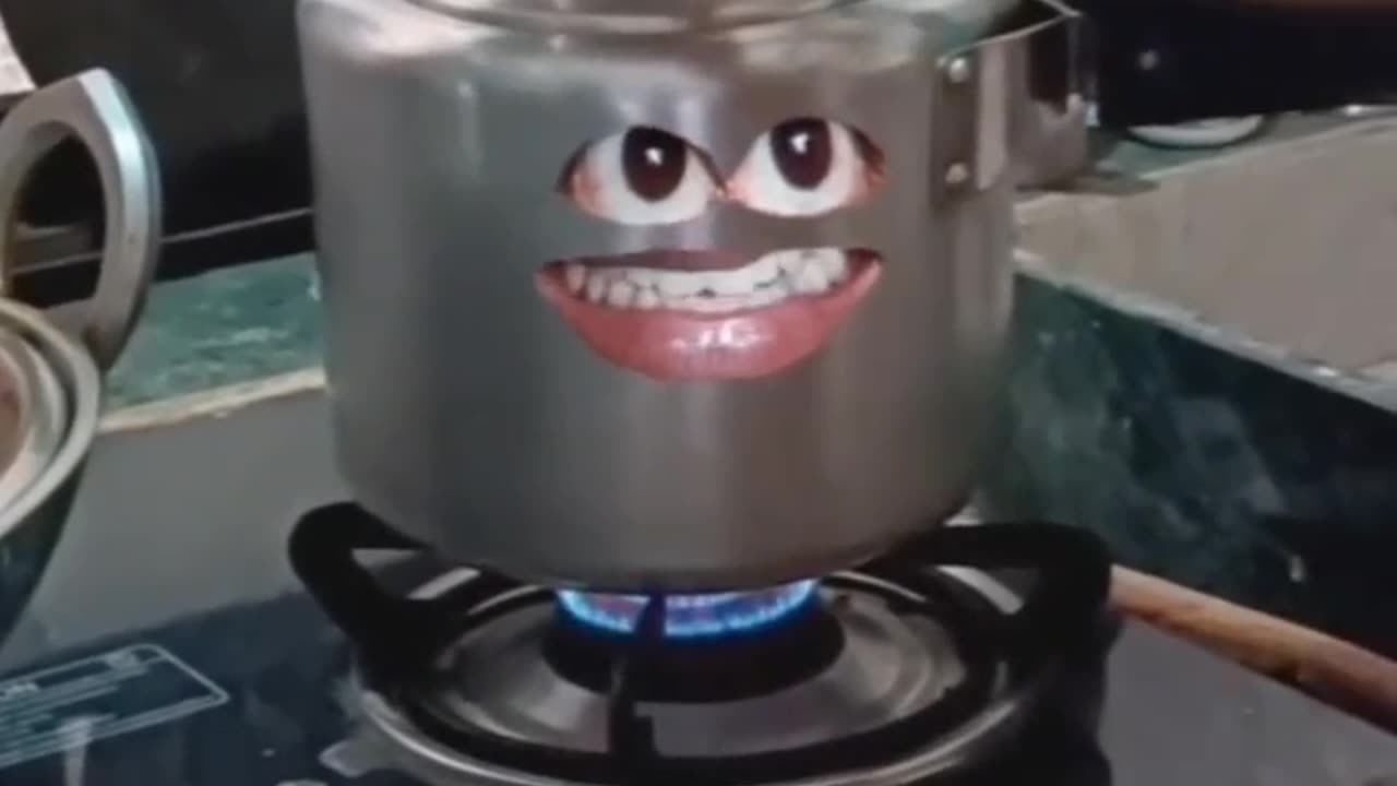 Funny video funny moments