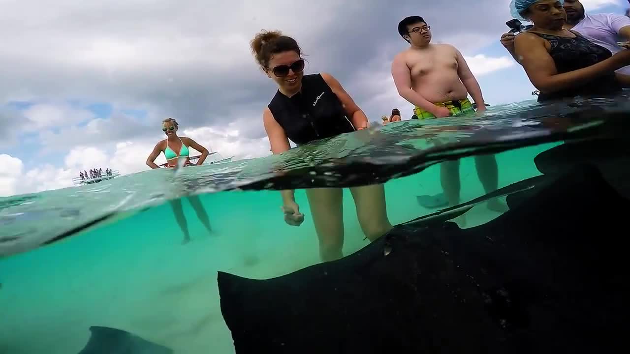 Grand Cayman - Stingray City Sandbar. GoPro HD