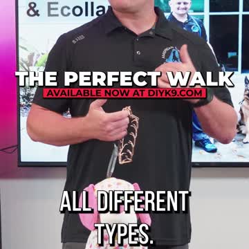Want to find the best prong collar to get for your dog and how to get the perfect walk?