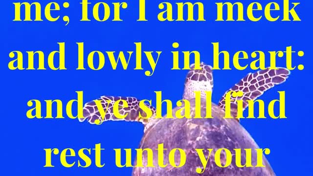 Take my yoke upon you, and learn of me; for I am meek and lowly in heart: