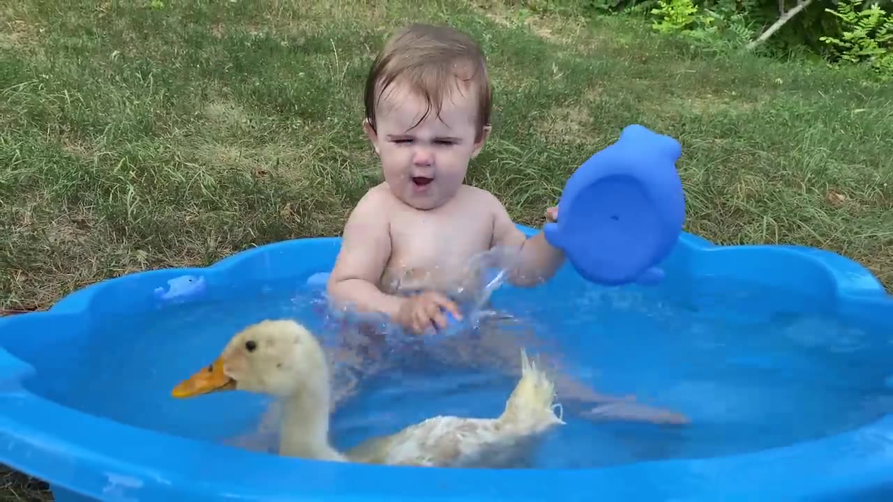 Perfect kids