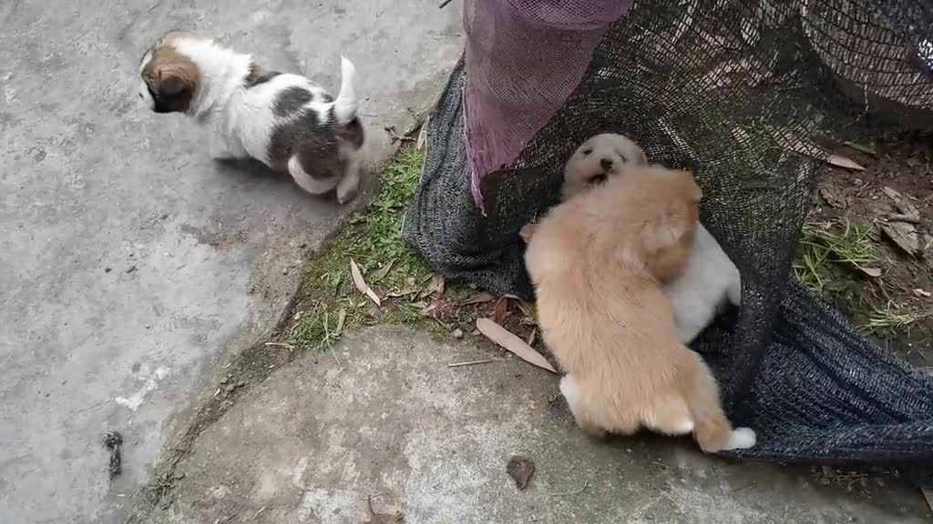 No, not today.