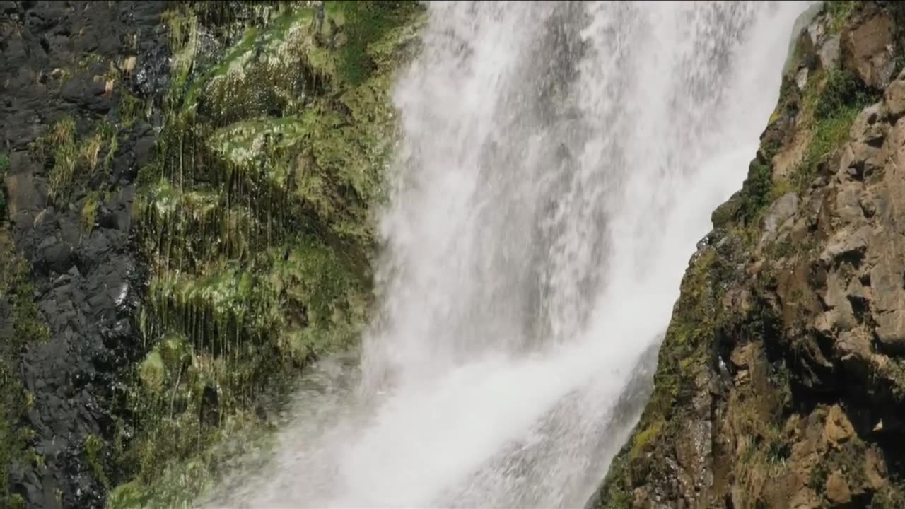 Nature
