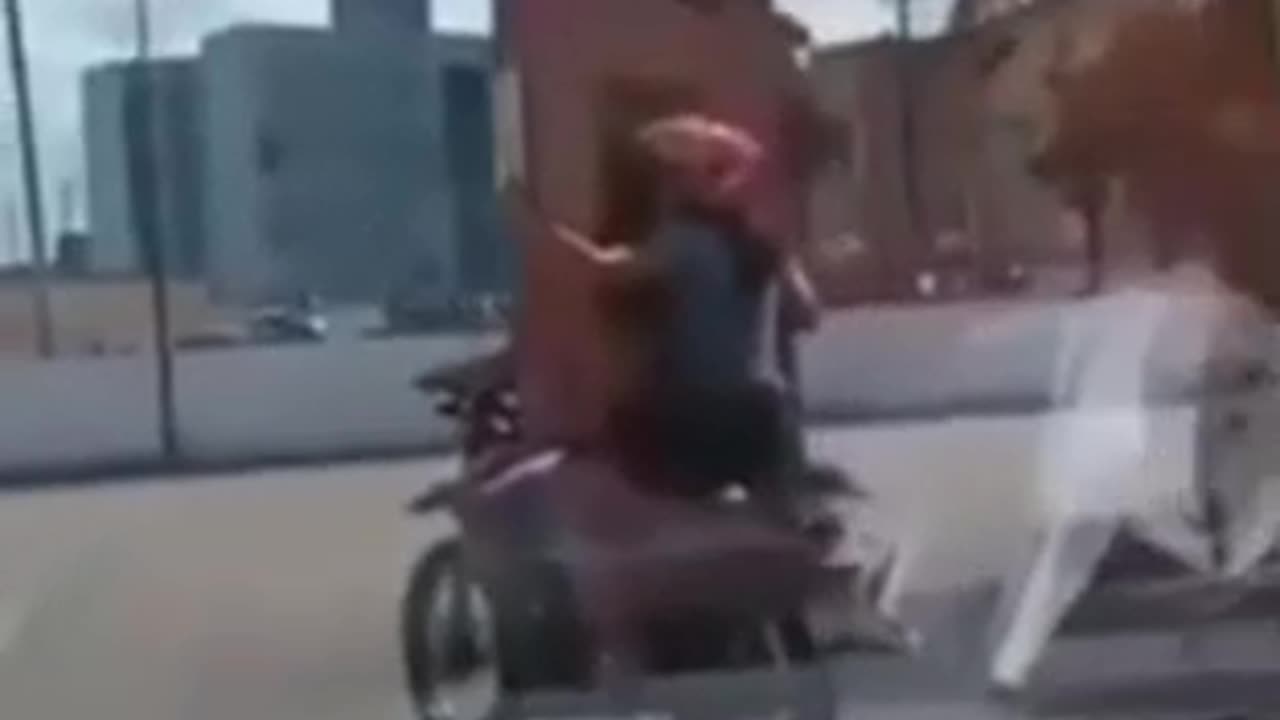 TRY NOT TO LAUGH 😆 Best Funny Videos Compilation 😂😁😆 Memes