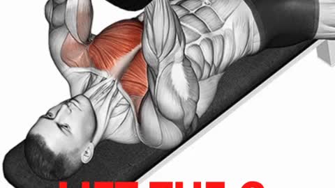 Stomach cruncher with dumbbell