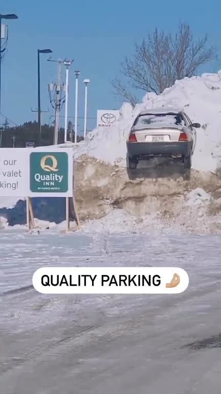 Got a new job as a Valet Parker.