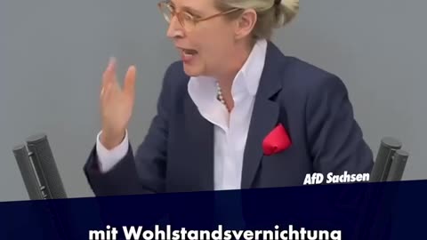 Alice Weidel im Bundestag zum Heizungsgesetz