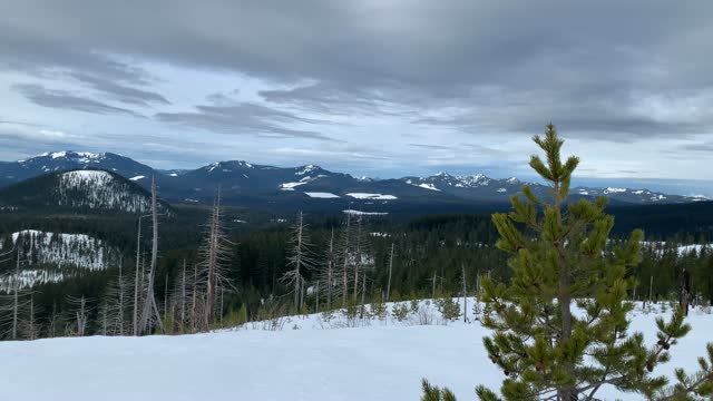 Expansive Views of Willamette National Forest – Potato Hill Sno-Park – Central Oregon – 4K