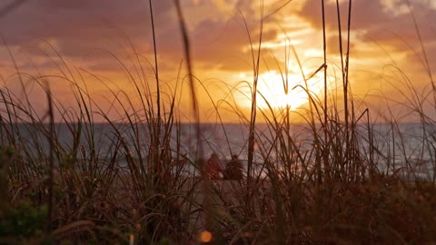 Lauderdale by the sea Sun Sea & Long Grass