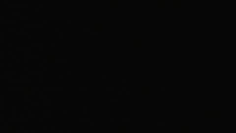 2865RSOB02Xray1st-Con_2021-01-05_02h40min01s727ms.mp4