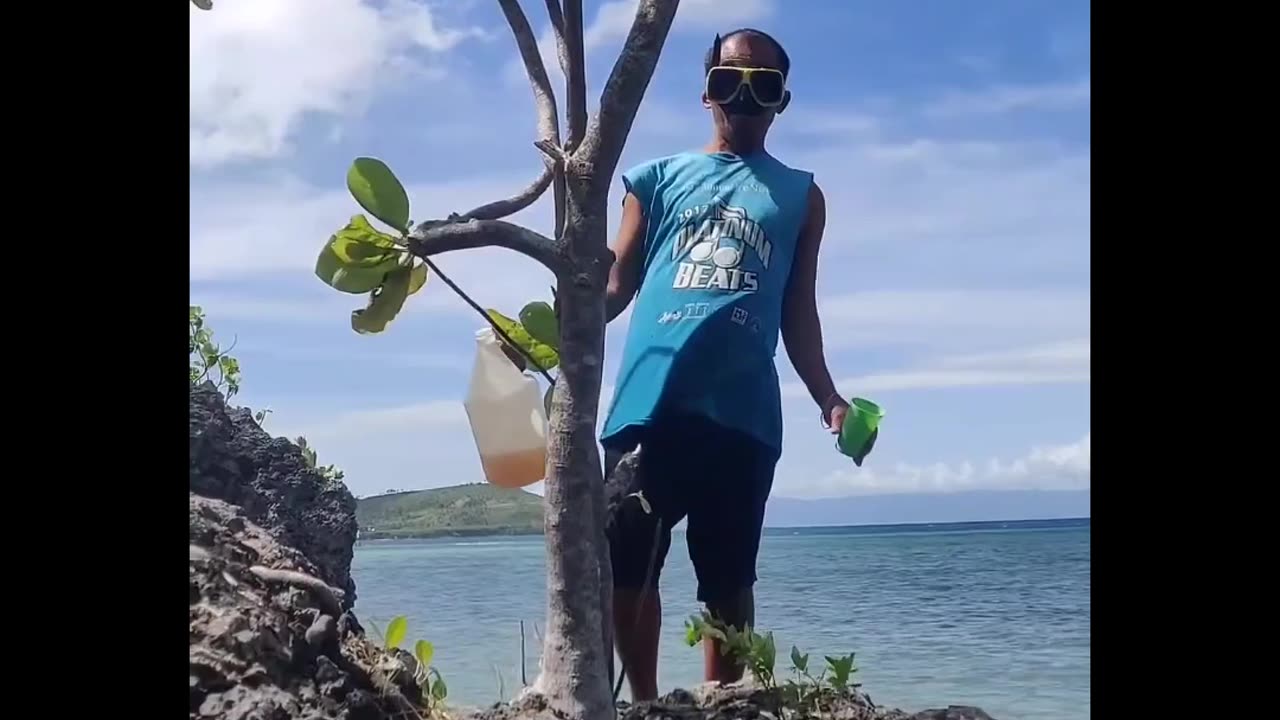 Drink coconut wine on the top rock island