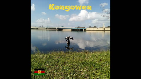 Kongowea