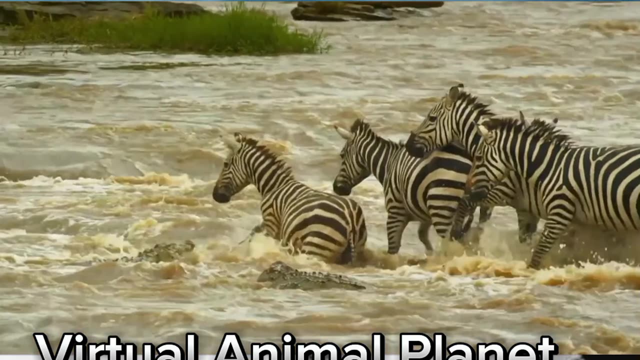 Journey Into the Amazon Rainforest: Wildlife Encounters and Breathtaking Scenery
