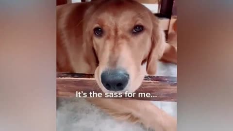 Adorable Baby Meets Oatmeal in the Kitchen!