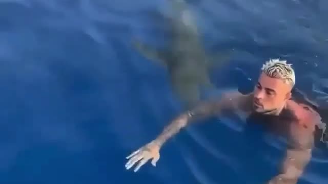 Closest Shark Call