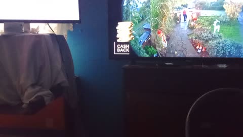 #crisis, #racist, #lies, #benefits, are all paid for you,